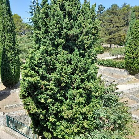 Apartmán Grande Terrasse Et Vue Sur Le Site Antique Vaison-la-Romaine Exteriér fotografie