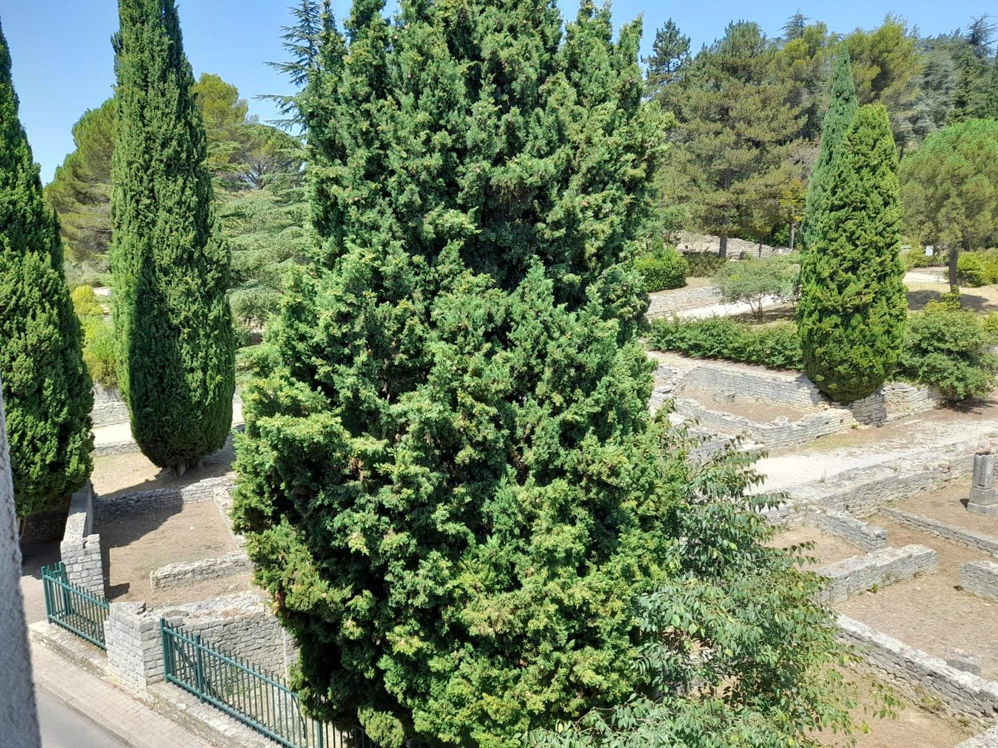 Apartmán Grande Terrasse Et Vue Sur Le Site Antique Vaison-la-Romaine Exteriér fotografie